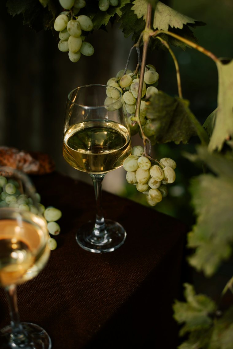 Bulk wine — white wine and vine grapes